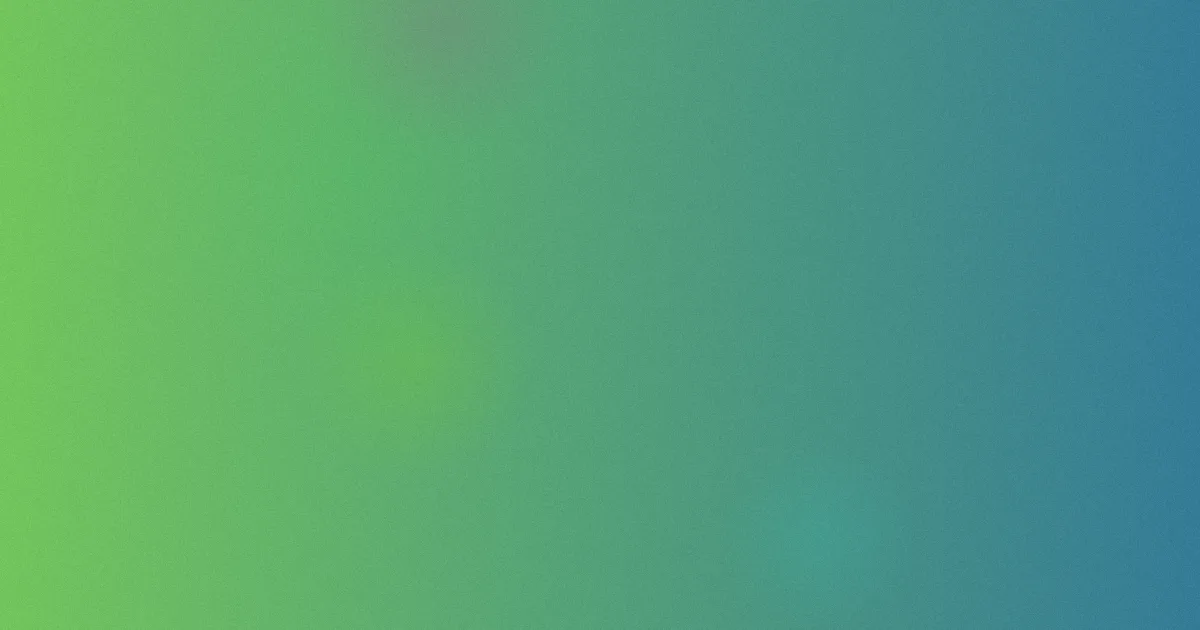 王文君推荐新手指南