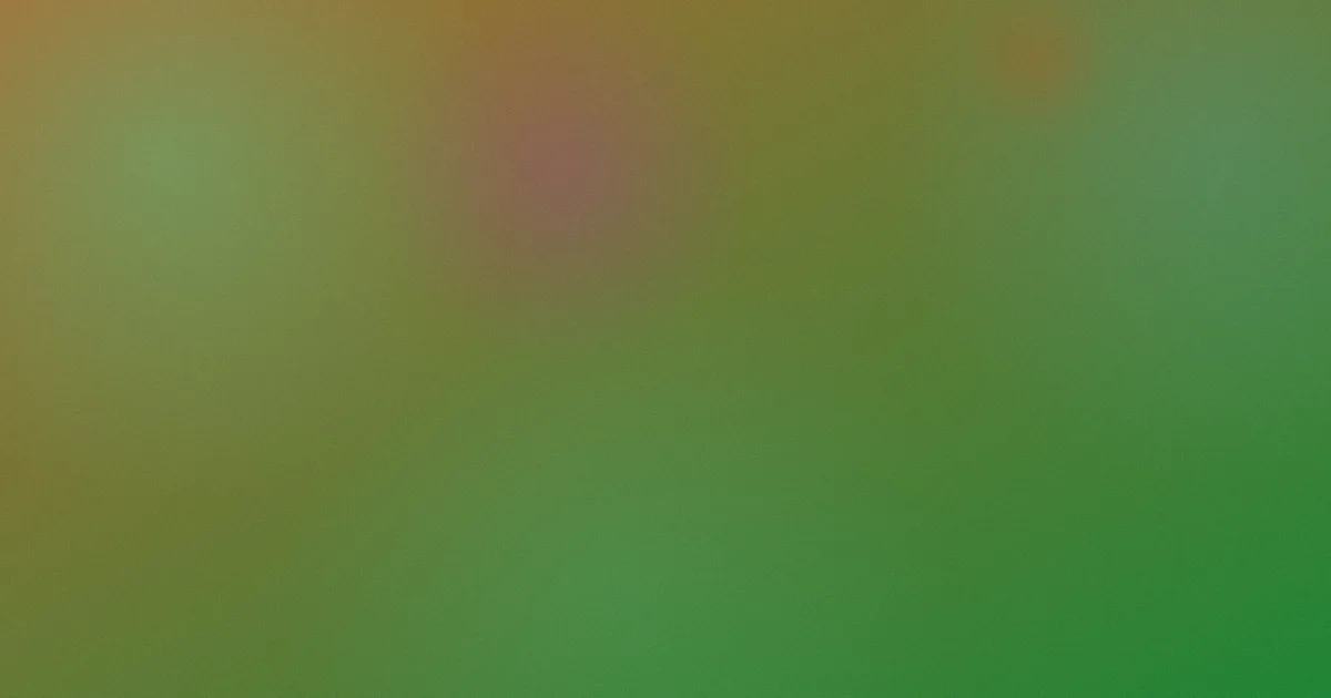 一点点歌词是什么：新手速懂